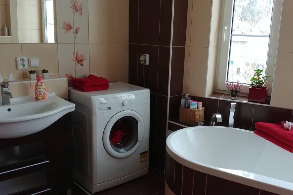 Apartment Flat Near The Castle Decin
