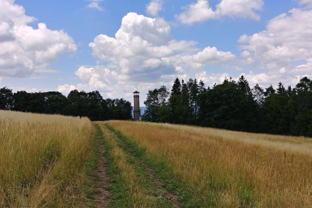 Flat Near The Castle *