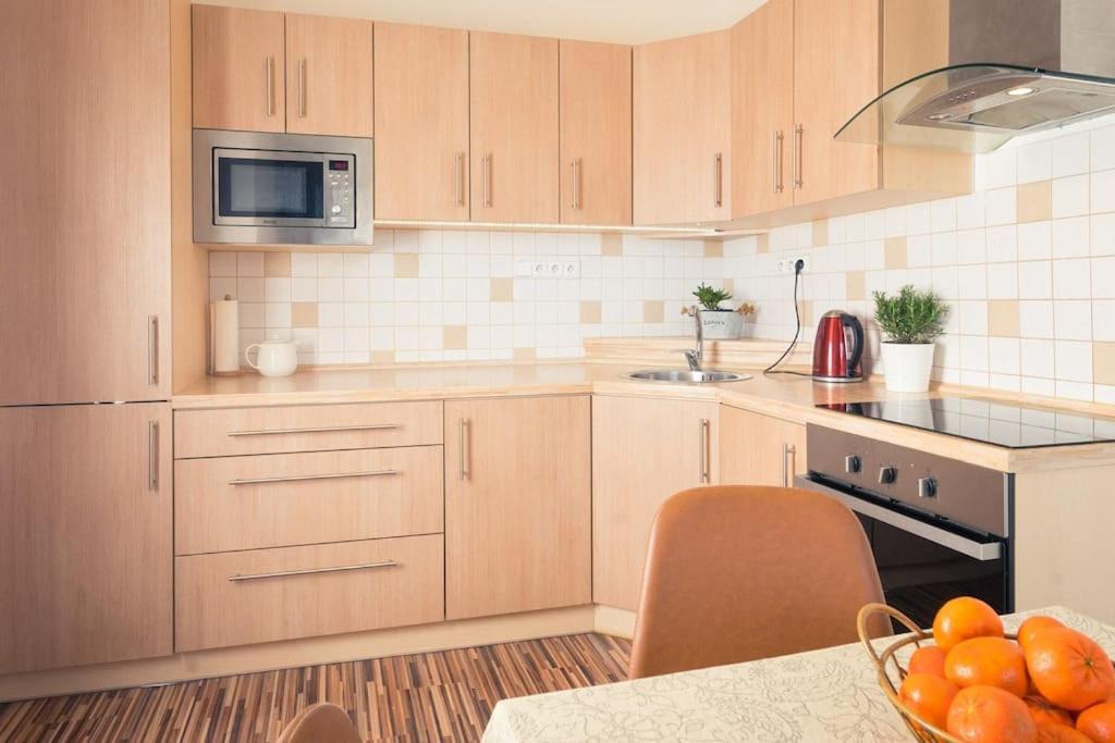 Flat Near The Castle * Decin