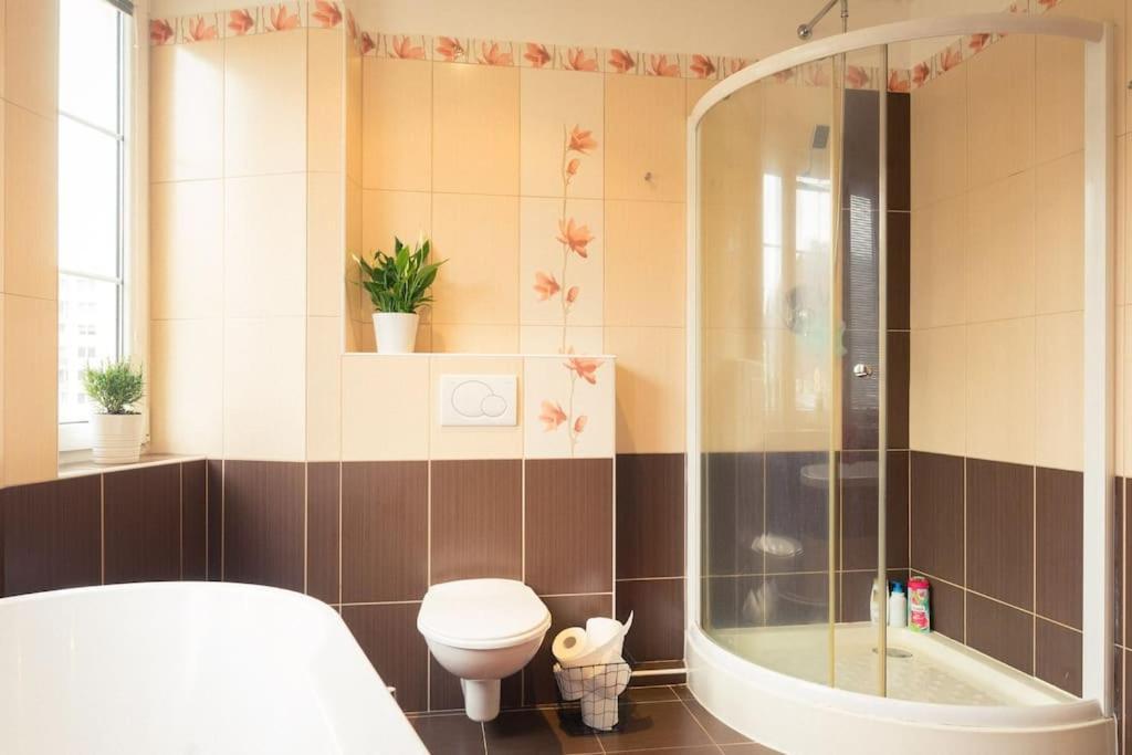 Flat Near The Castle Decin
