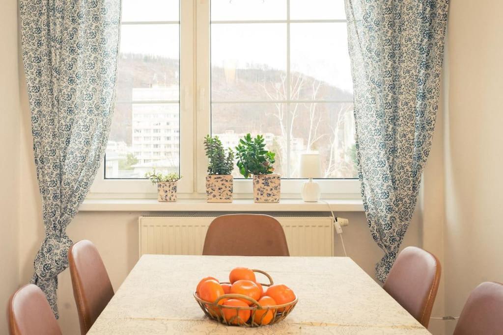 Apartment Flat Near The Castle Decin